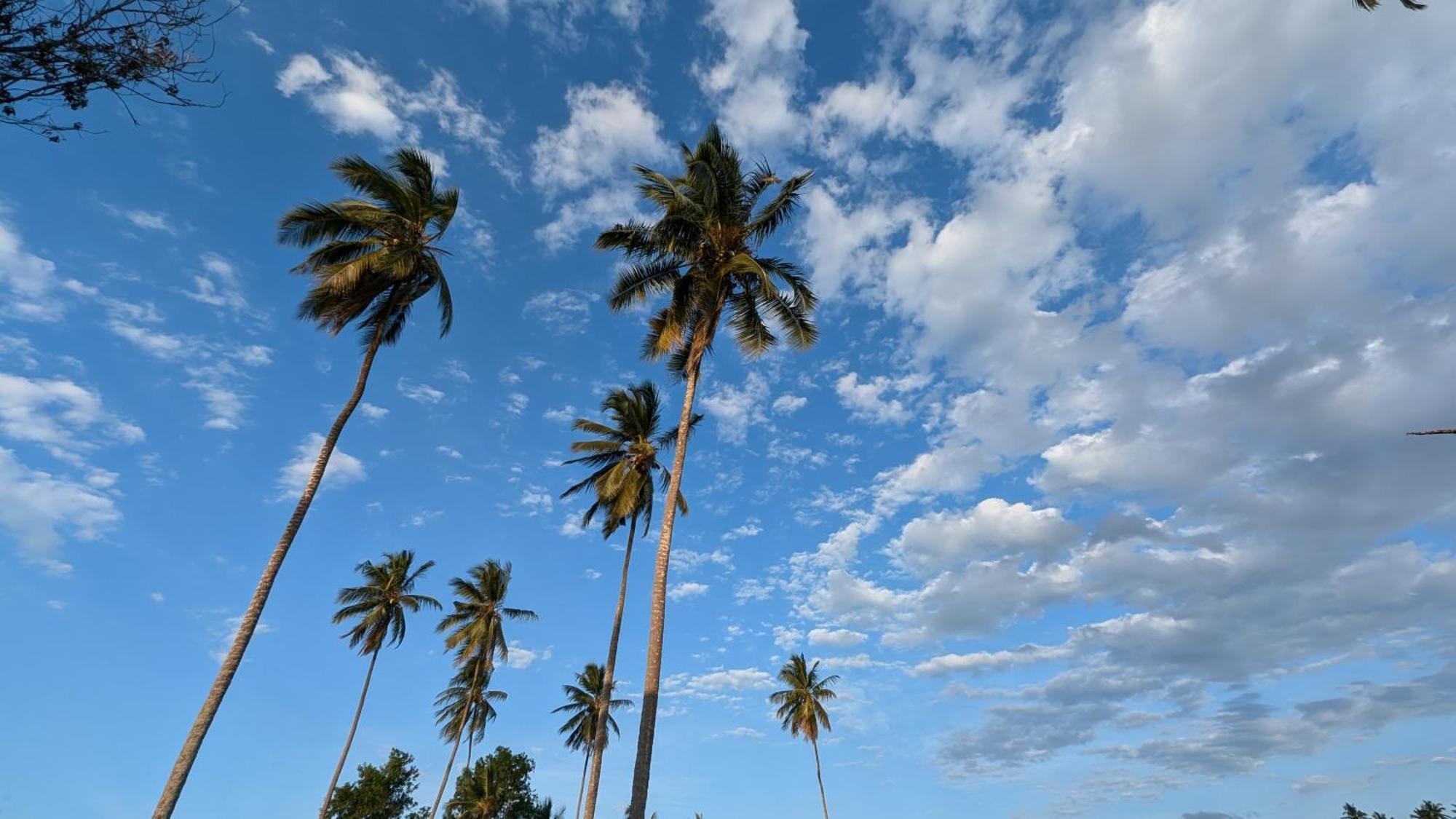 Villa Adelina Zanzibar Eksteriør billede